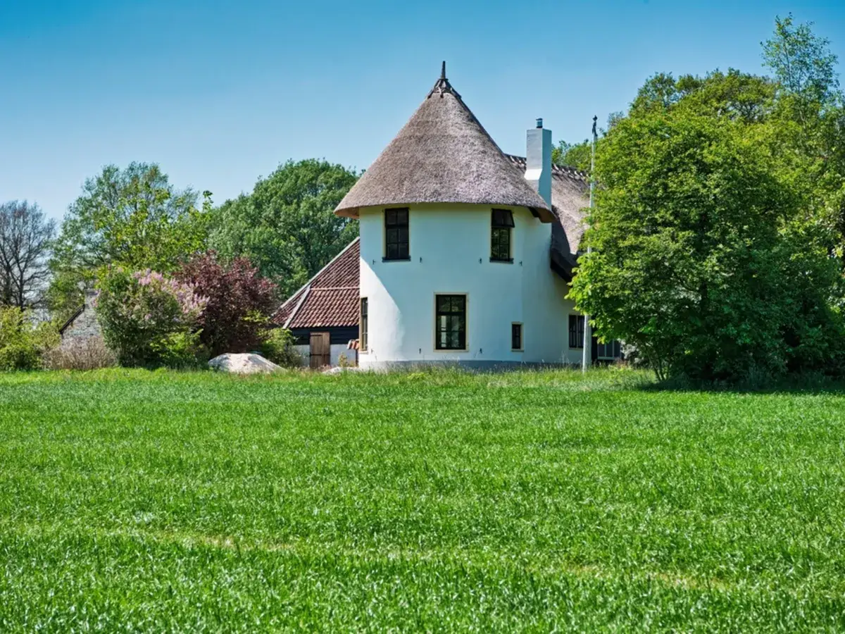 Witte boerderij met rieten dak aan een weiland